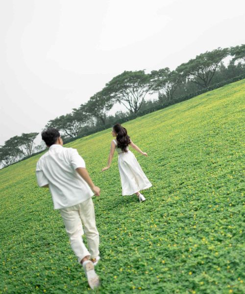 Mass Image Compressor Compressed this image. https://sourceforge.net/projects/icompress/ with Quality:35